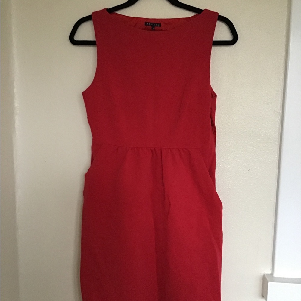 Theory Dress